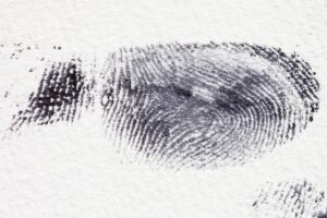 fingerprint florida