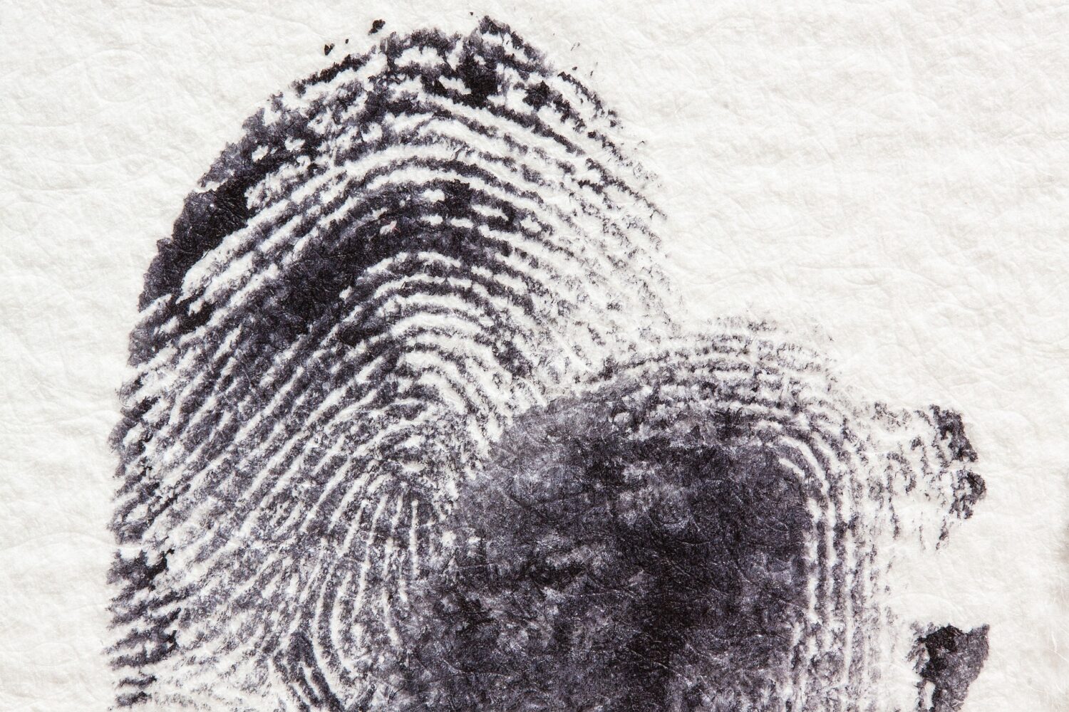 Things to Know in Submitting Fingerprint Cards to Florida