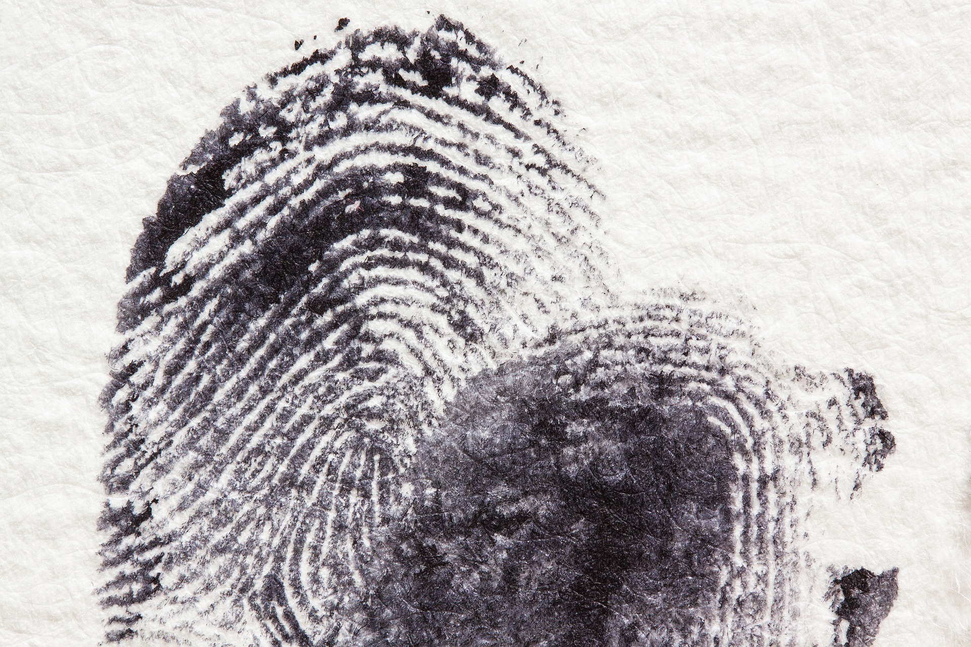 fingerprinting in florida