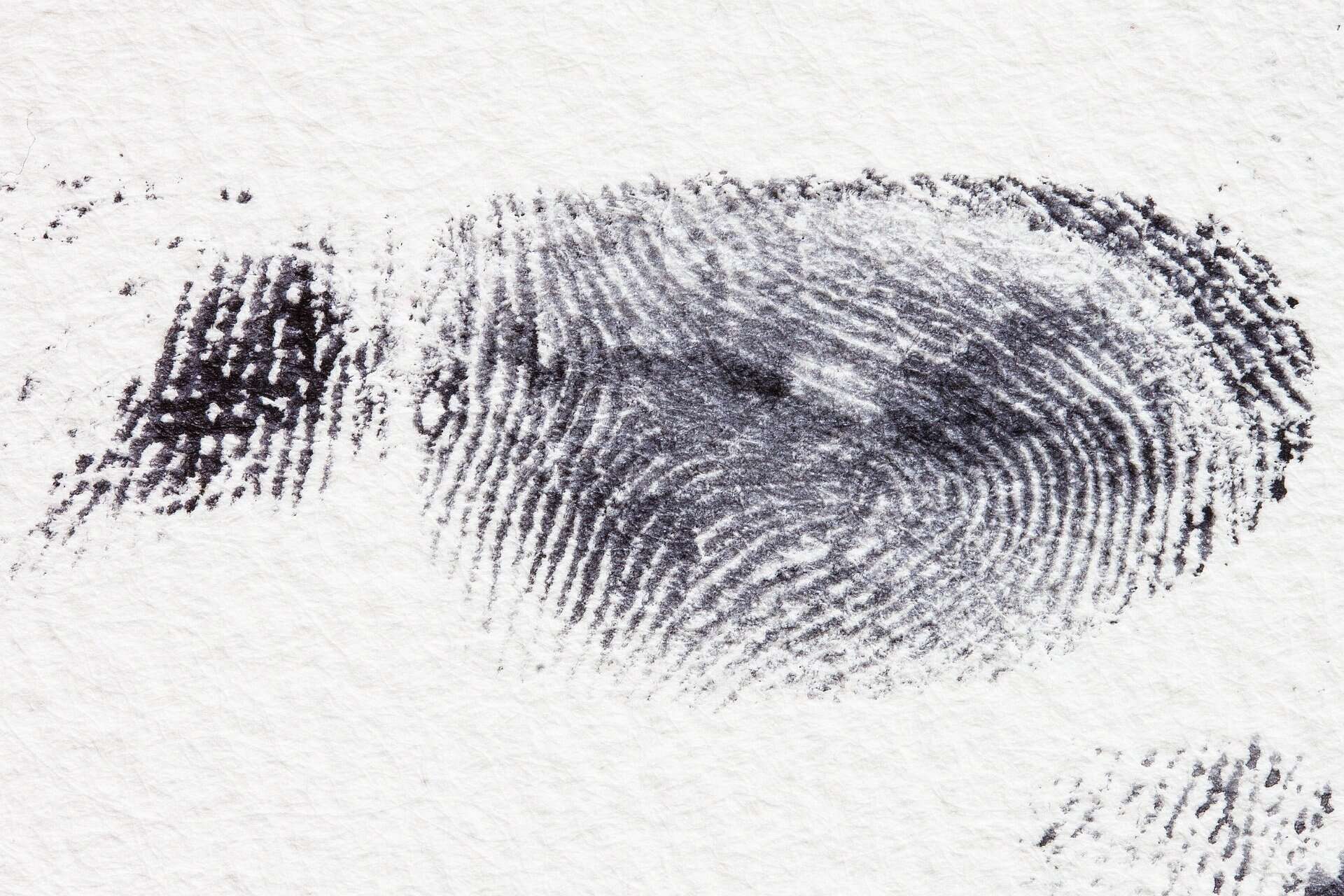 Fingerprint 255897