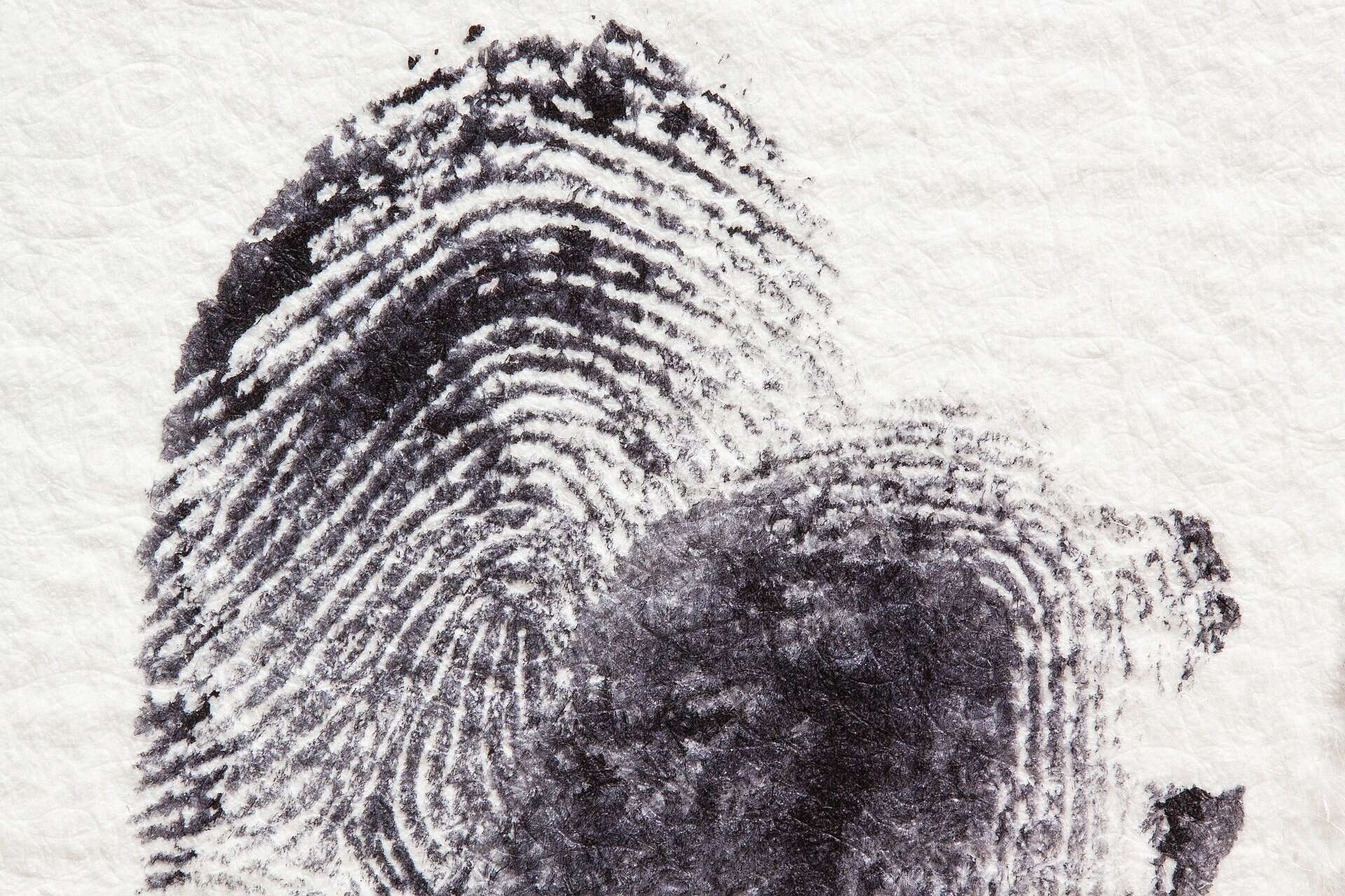 Fingerprinting in florida (1)