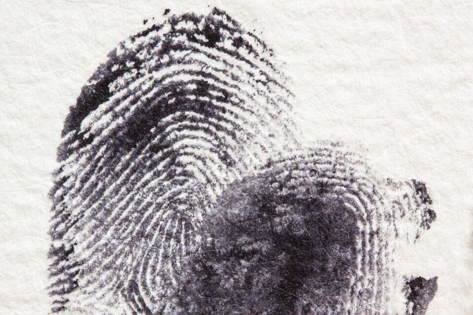 Fingerprinting in florida
